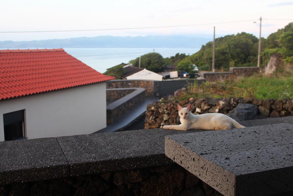 Vila Paim Santo Antonio  Luaran gambar
